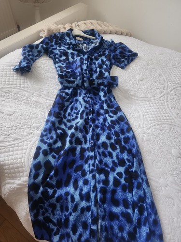 Eye catching blue leopard - eye,